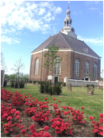 Natuur op de Sprang-Capelse begraafplaatsen
