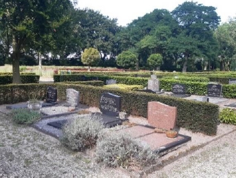 Natuur op de Sprang Capelse begraafplaatsen