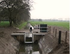 De natuur in de Langstraat